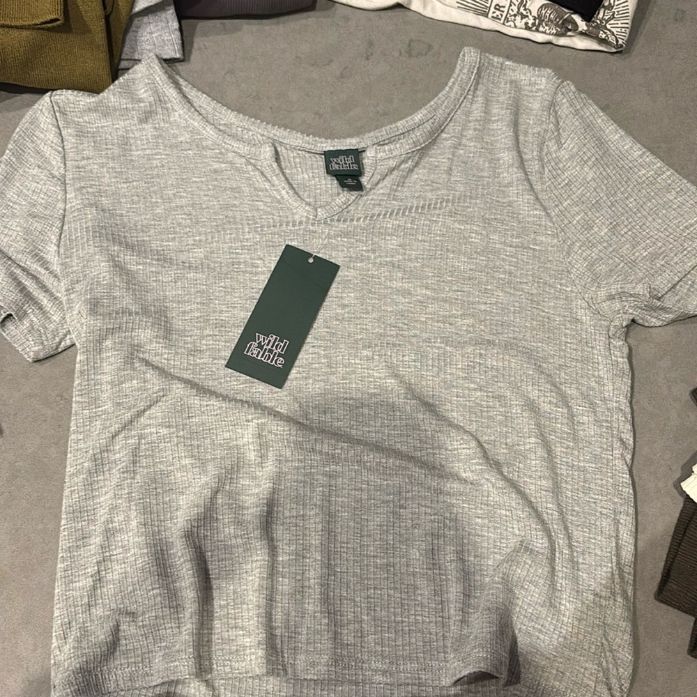 Wild Fable Grey V Neck